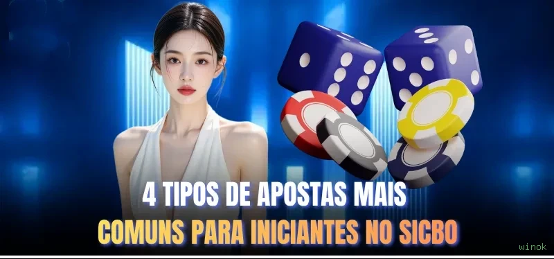 Sistemas de Segurança winok